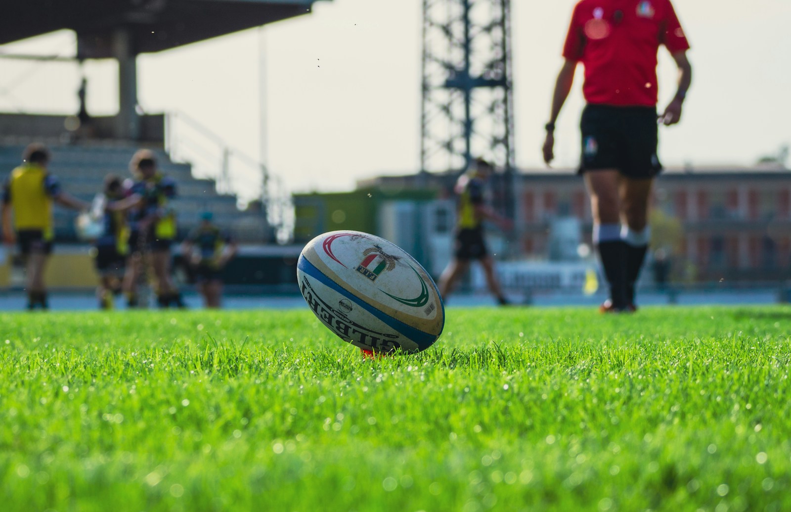 a rugby ball sitting on top of a lush green field